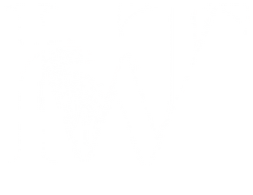 a white letter logo